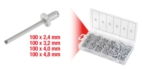 KS Tools Assortiment de rivets aveugles