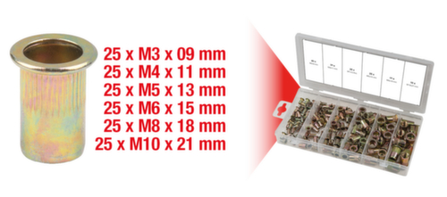 KS Tools Assortiment de rivets filetés