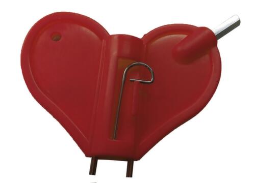 Schake Clé de rechange pour lampe d'avertissement