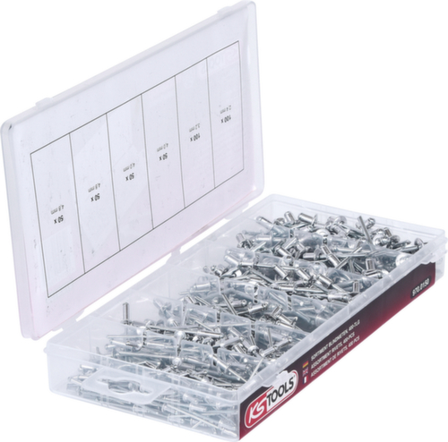 KS Tools Assortiment de rivets aveugles