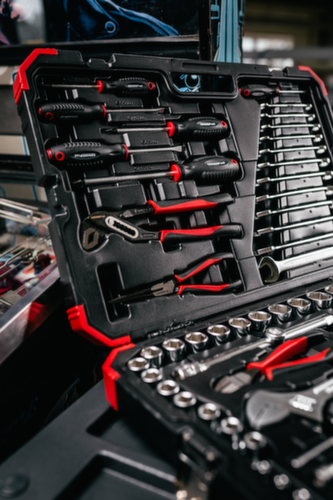 GEDORE R46003100 Jeu de douilles 1/4"+1/2" 10-32mm 100 pièces