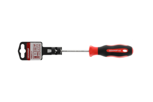 R38105519 Tournevis 2K fente 5.5 mm 1x100 mm