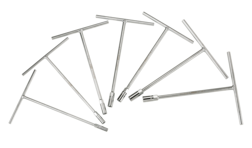KS Tools T-handle socket set