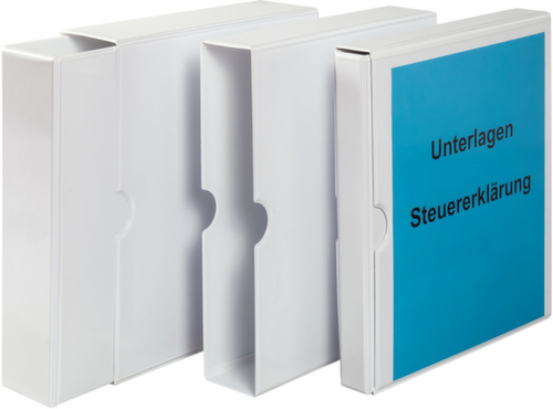 EICHNER Classeur à anneaux et étui