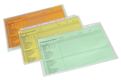 EICHNER Couverture visuelle, transparent, DIN A4