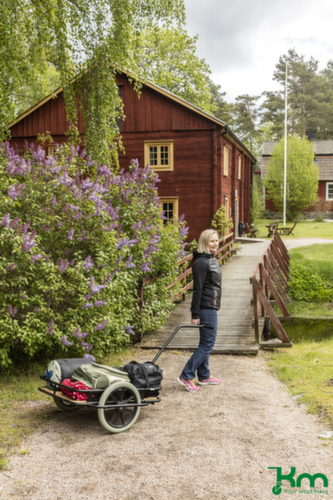 Kongamek Chariot à timon