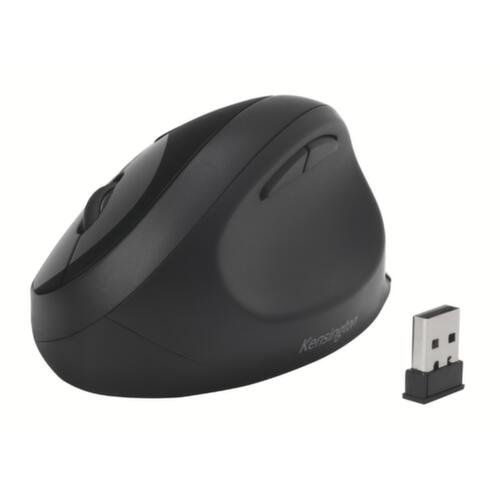 Kensington Souris d'ordinateur ergonomique ProFit