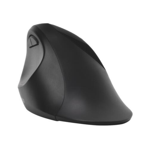 Kensington Souris d'ordinateur ergonomique ProFit