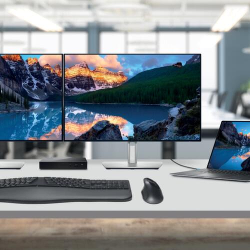 Kensington Souris d'ordinateur ergonomique ProFit