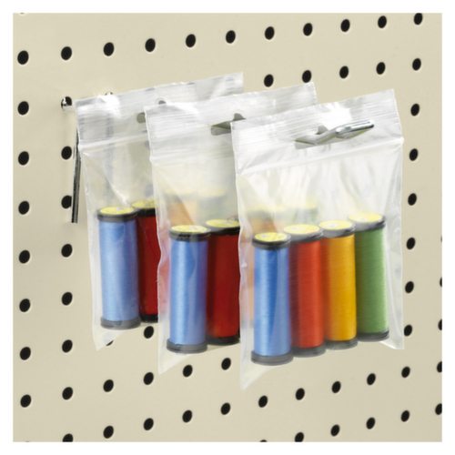 1000 sachets zip (50 microns) à trou de suspension européen