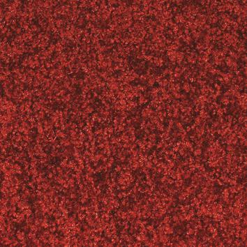 Miltex Wasbare schoonloopmat Eazycare Color