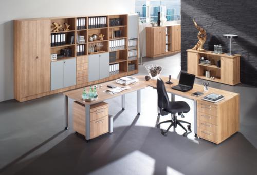 Kast met openslaande deuren Sina