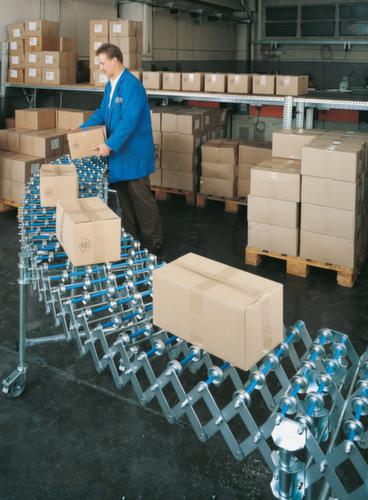 Blume Förderanlagen Harmonica wieltjesbaan