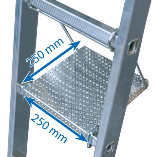 Krause Inhangtrede CombiSystem voor staande ladder met sporten, 250 mm