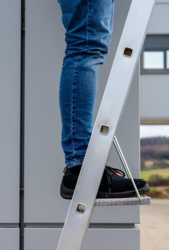 Krause Inhangtrede CombiSystem voor staande ladder met sporten, 250 mm
