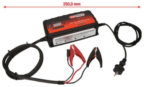12V + 24V SMARTcharger Hoogfrequente acculader 25A/12,5A
