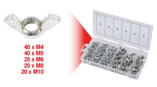 Assortiment vleugelmoeren