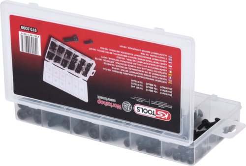 Assortiment binnenzeskantschroeven