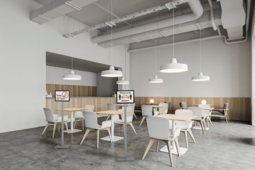 Durable Informatiestandaard INFO STAND BASIC met 1 lijst