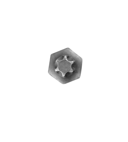 R62451319 Schroevendraaierbit 1/2" TX T20 Lengte 100 mm
