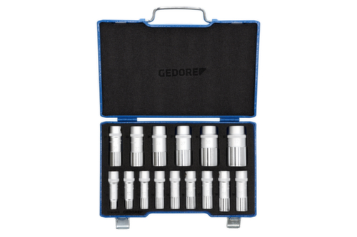 GEDORE D 19 L-015 dopsleutelset 1/2" 15-delig UD 10-32 mm