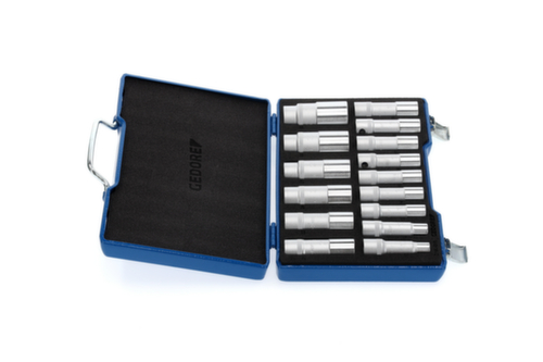 GEDORE D 19 L-015 dopsleutelset 1/2" 15-delig UD 10-32 mm