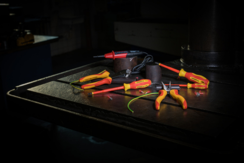 GEDORE R39300219 VDE Schroevendraaier PZ2 100 mm