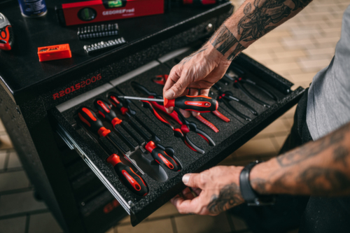 GEDORE R38002006 2C-schroevendraaierset PH+SL 6 stuks