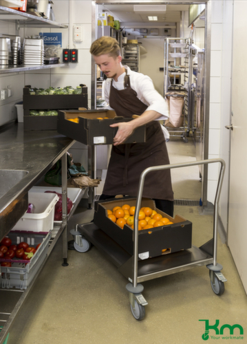 Kongamek RVS-duwbeugelwagen