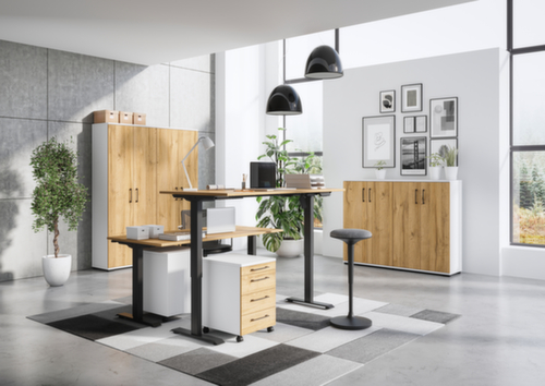 Verrijdbaar ladeblok GW-PROFI 2.0