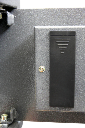 Phoenix Safe hotelsafe Dione