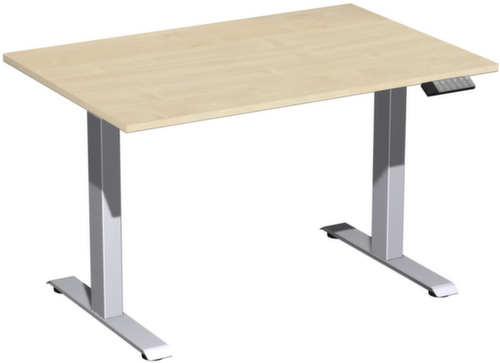 Gera Elektrisch in hoogte verstelbaar bureau Elevate Basic