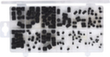 std_08 S