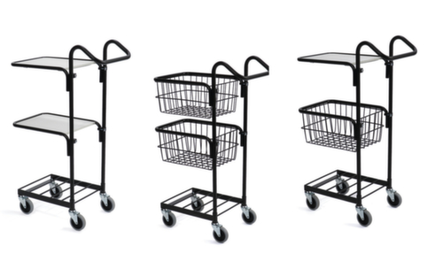 Helge Nyberg Mini chariot Ergobjörn force 50 kg