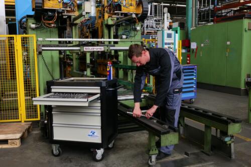 Thurmetall Chariot d'atelier Workman Workshop Trolley Pro avec 6 tiroirs, 6 tiroir(s)
