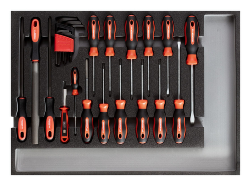 R22350002 Jeu d'outils tournevis + limes module CT 26 pièces