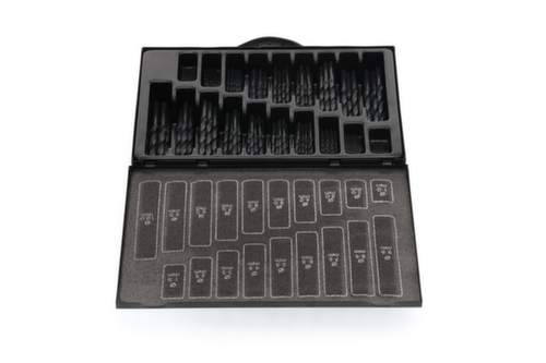 GEDORE RED R93500170 Jeu de forets hélicoïdaux Ø 1-10mm 0.5 pas 170 pièces