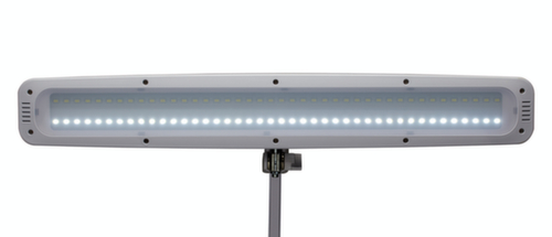 MAUL lampe de table à DEL avec variateur MAULwork, lumière blanc froid (blanc lumière du jour), blanc