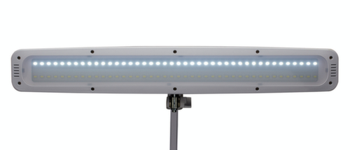 MAUL lampe de table à DEL avec variateur MAULwork, lumière blanc froid (blanc lumière du jour), blanc