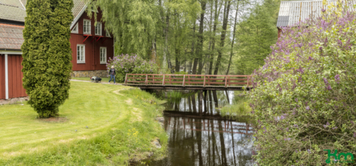 Kongamek Chariot à timon