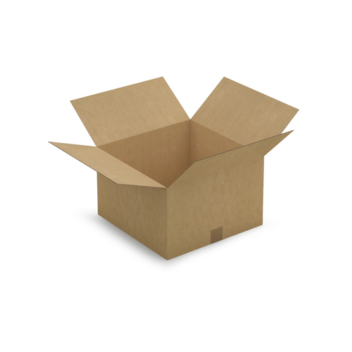 Caisse carton brune RAJA