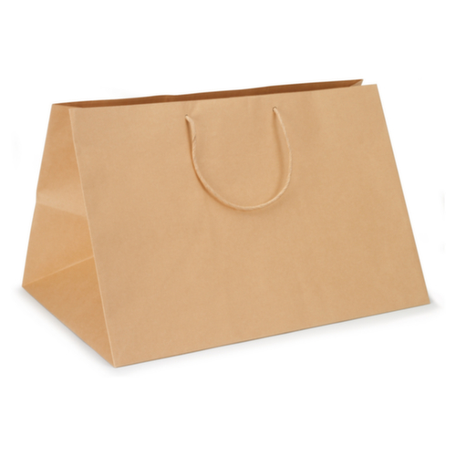 10 sacs kraft bruns