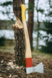 milieu_04 S