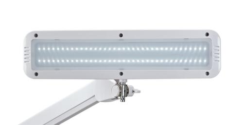 MAUL compacte LED-werkpleklamp MAULintro dimbaar, licht koudwit (daglichtwit), wit