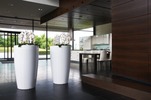 Plantenzuil degardo® ROVIO