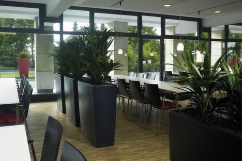 Denios Plantenbak degardo® TREVIA als scheidingswand