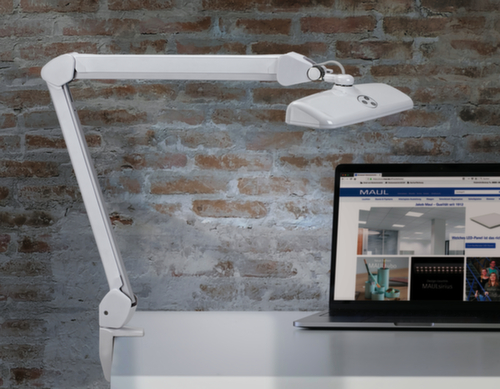 MAUL compacte LED-werkpleklamp MAULintro dimbaar, licht koudwit (daglichtwit), wit