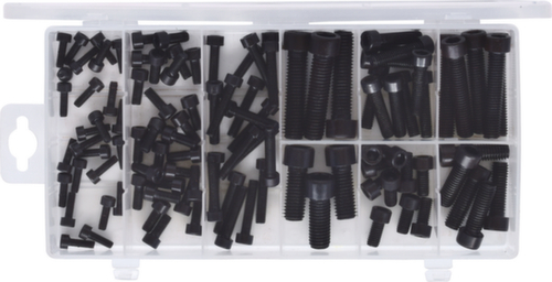 Assortiment binnenzeskantschroeven