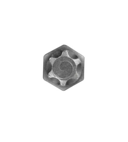 R62451819 Schroevendraaierbit 1/2" TX T40 Lengte 100 mm