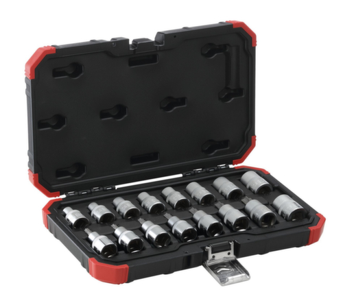 GEDORE RED R68003016 Dopsleutelset 1/2" TX E10-24T30-70 16-delig